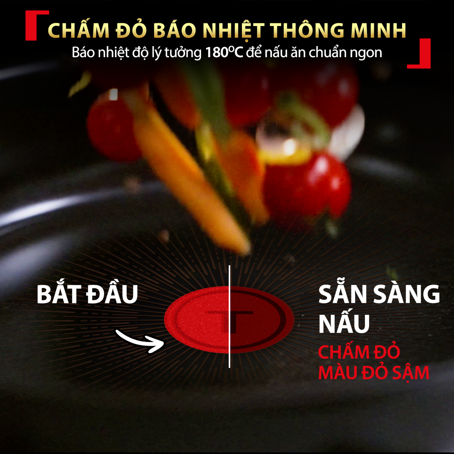 Chảo chống dính cao cấp Tefal Excellence Fusion, Fusion Core