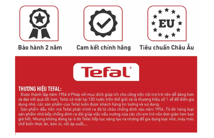 Nồi Tefal Day By Day 20cm
