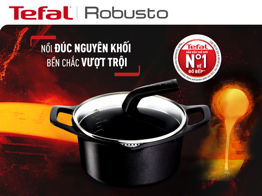 Nồi đúc cao cấp Tefal Robusto có miệng rót 20cm