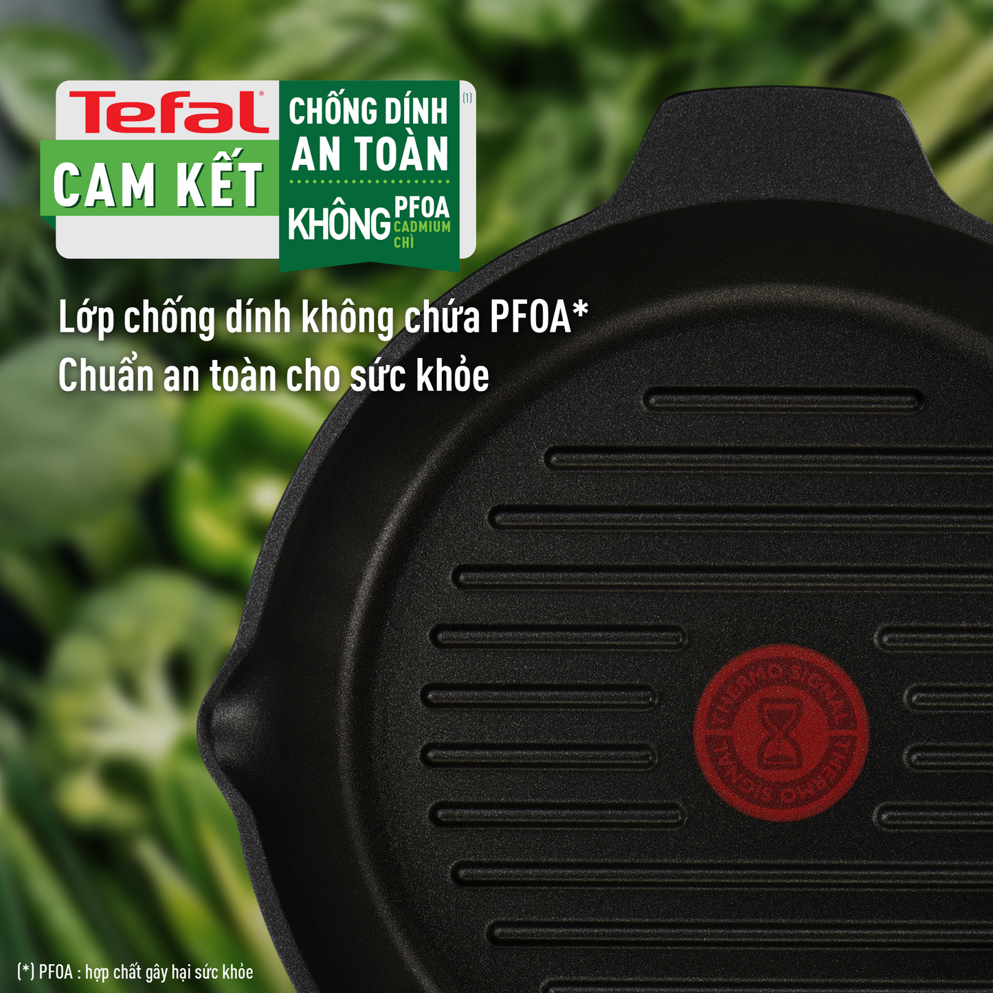 Chảo đúc cao cấp nướng, chiên Tefal Robusto có miệng rót 26cm