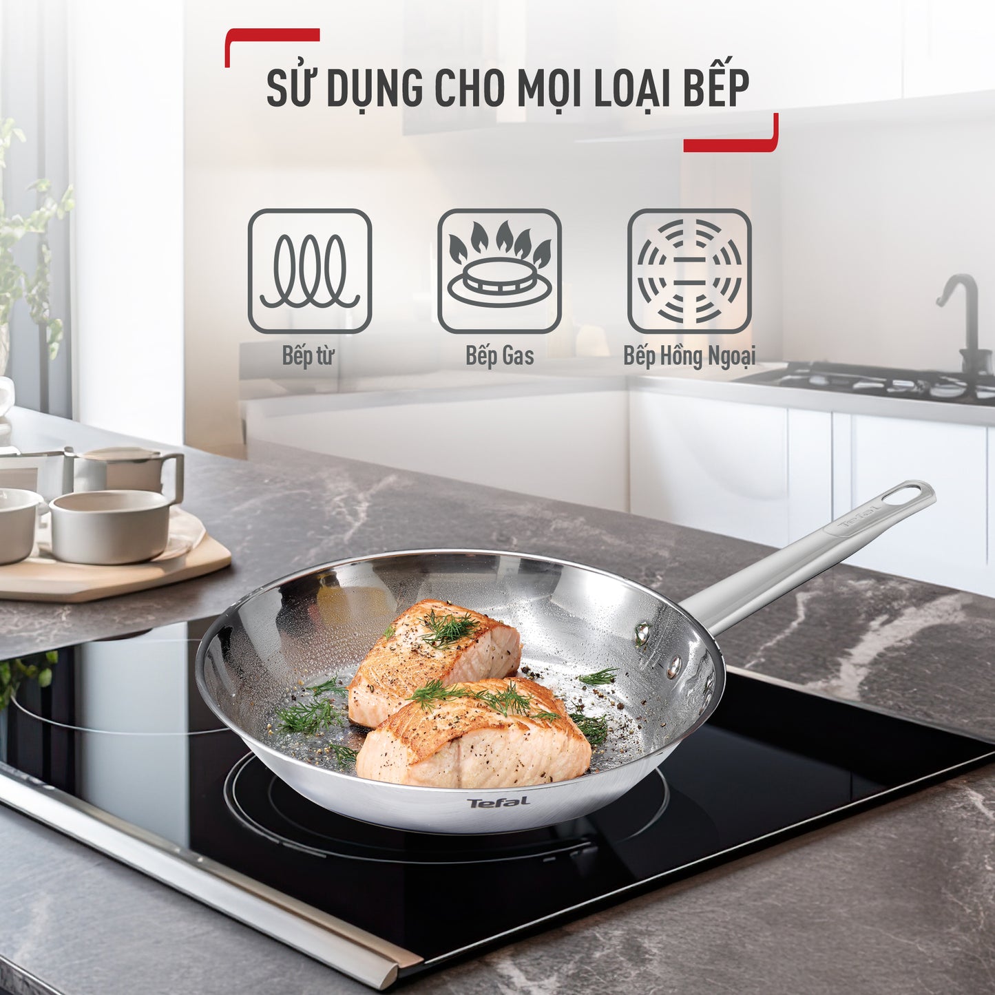 Chảo Inox cao cấp Professional Tefal 20/24/26/28cm B9210595
