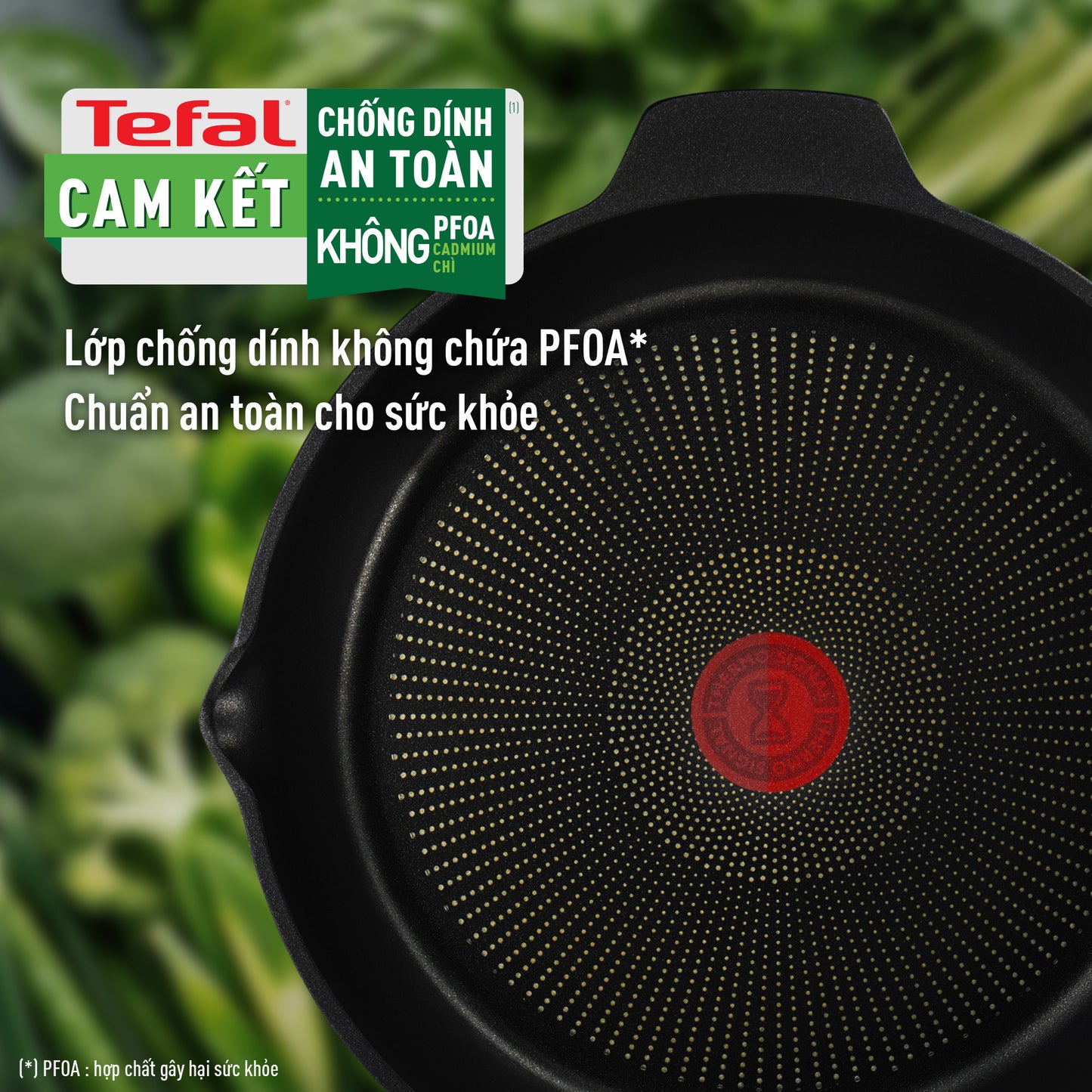 Chảo đúc cao cấp sâu lòng Tefal Robusto có miệng rót 28cm