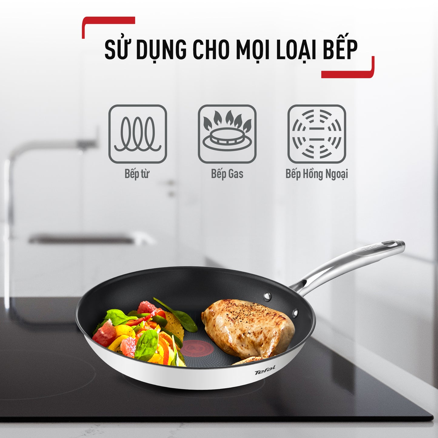 Chảo chiên Inox cao cấp Tefal Duetto Plus 24cm/26cm/28cm