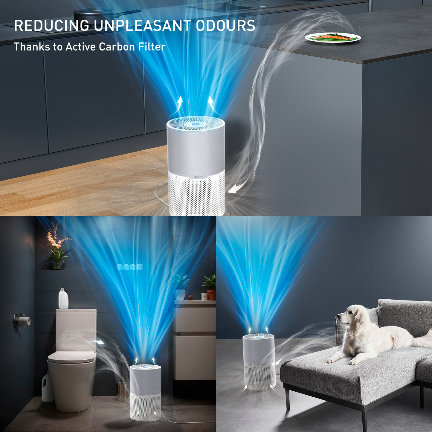 Máy lọc không khí TEFAL compact