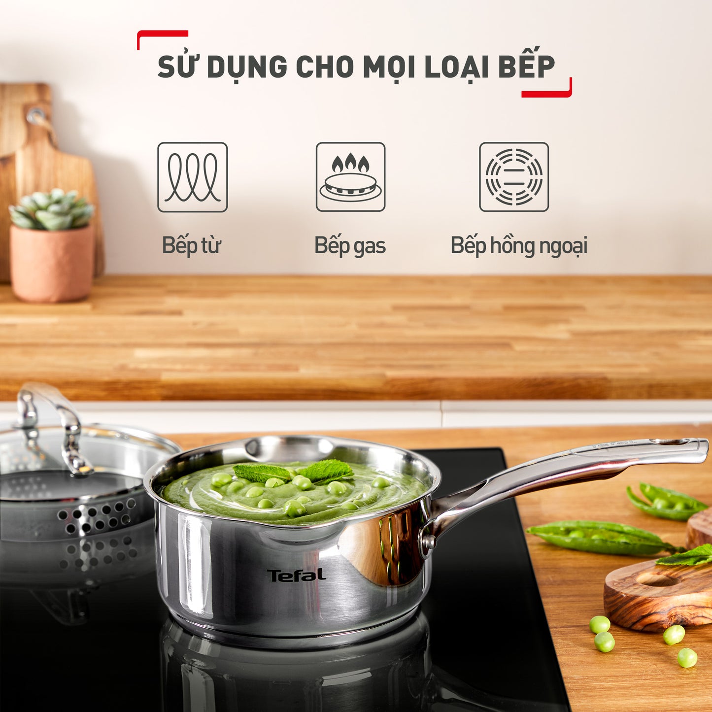 Nồi Inox cao cấp cán dài Tefal Duetto Plus, 16cm