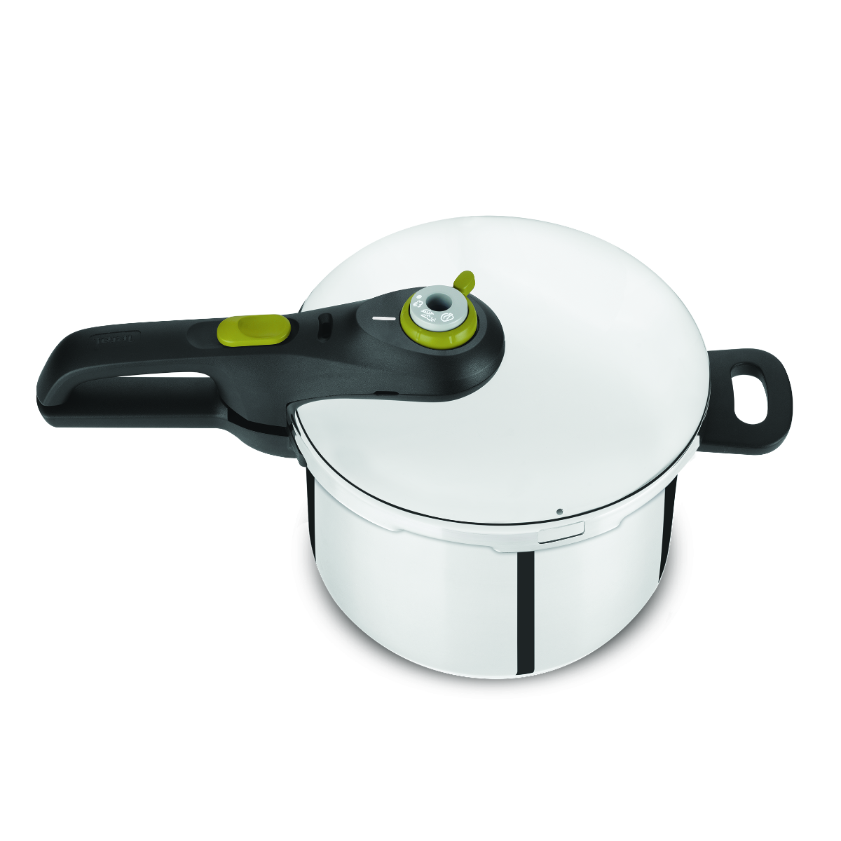 Tefal secure online neo 6l